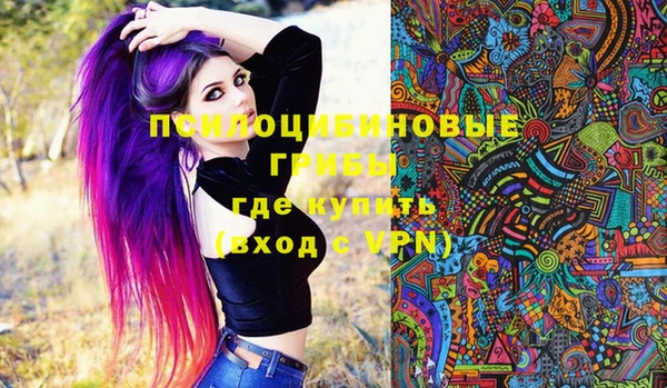 mdpv Кодинск
