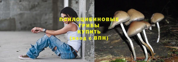 гашишное масло Козельск