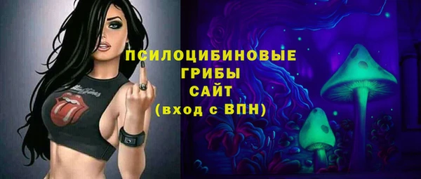 apvp Козловка