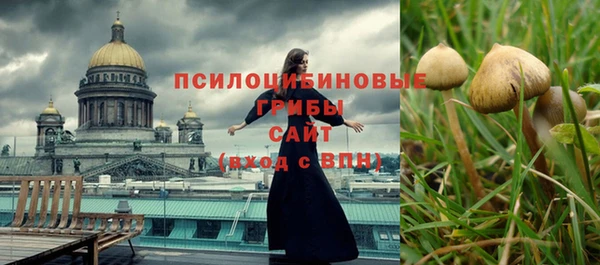 apvp Козловка