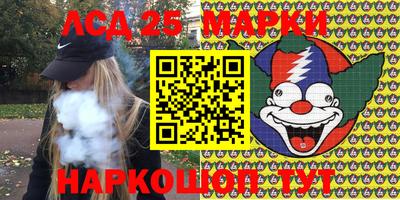 шишки Бийск