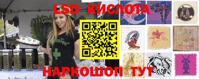 гидропоника Кулебаки