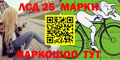 гидропоника Кулебаки