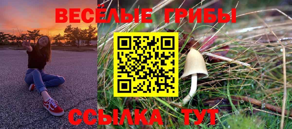 Псилоцибиновые грибы мицелий  Галлюциногенные грибы ЛСД  Канаш 