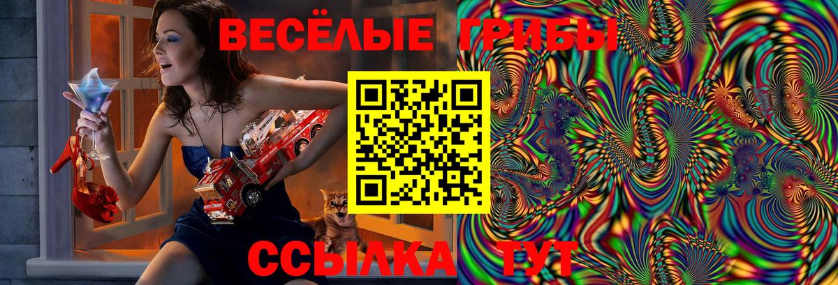 LSD-25  A-PVP СК   Канаш  Вход с VPN  Меф МЯУ МЯУ кристаллы  МАРИХУАНА  ГАШИШ  Кокаин 