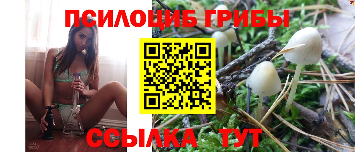 Псилоцибиновые грибы Cubensis Канаш